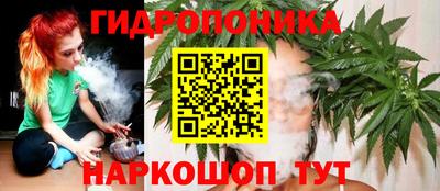 тгк Аргун