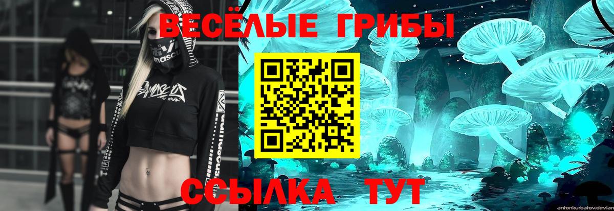 Артёмовский  Псилоцибиновые грибы Cubensis  Псилоцибиновые грибы прущие грибы  Вход с VPN 